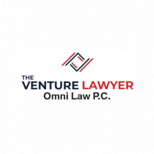 Photo of The Venture Lawyer